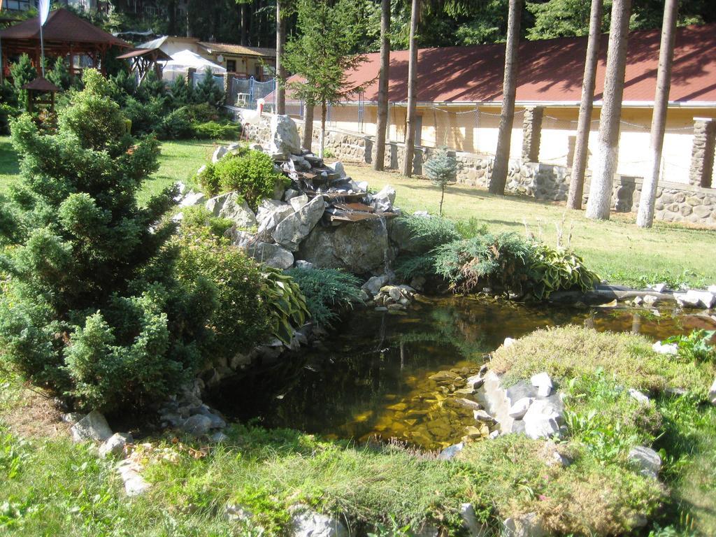 Pensiunea Speranta Sovata Exterior foto